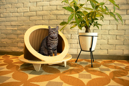 Time Machine Cat House (Brown)